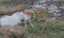 Садовое айыл өкмөтүндөгү талаалап аккан таза суу 