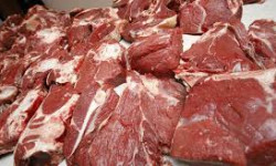 Кыргызстанда адал эт паркы курулат