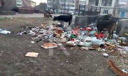 Тазалык ишканасы таштандыларды убагында алып кетпейт