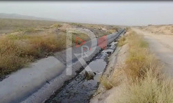 Баткен: каналга суу келбей, малдарга суу жетпей жатат