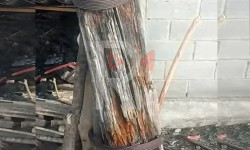 Эркин-Сай: электр мамыча үйдүн чатырын басып калуу коркунучда турат