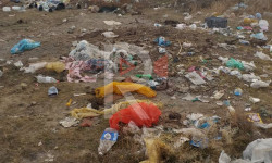  Светлая Поляна айылын таштанды басты