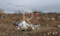 Талас: үлүш жерлерди таштанды жайга айландыргандар