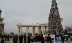 Тажикстанда жаңы жылдык балатыны өрттөөгө аракет кылган жаран кармалды