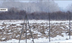 Токой чарбасына караштуу 80 гектар токой аянтты корукка алынды