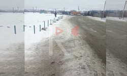 Келечек конушу мектеп менен коомдук транспортко муктаж болууда