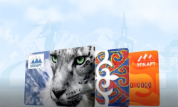 Санарип Кыргызстан. Каржылык кызмат көрсөтүү