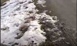 Өтмөк ашуусу кардан качан тазаланат? 