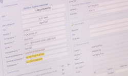 Өлкө келечеги - санариптешүү