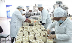 Аймактык долбоорлорду каржылоо көбөйтүлөт