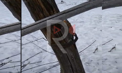 Талды-Суудагы чириген электр түркүктөрү качан алмаштырылат?