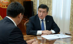 Социалдык кызмат көрсөтүү тармагын санариптештирүү артыкчылыктуу багыт