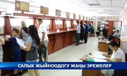 Салык кызматы быйыл бир катар жаңы эрежелерди киргизет