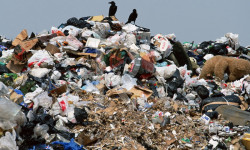 Сокулук: мыйзамсыз таштанды таштоочу жай