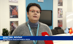 Балдарды коргоо жылын эл аралык уюмдар да колдоого алды