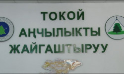 Айлана-чөйрөнү коргоо жана токой чарба агенттиги “Түндүк” системасына кошулду 