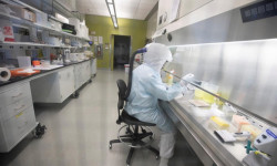 Коронавирус: кооптонууга негиз жок