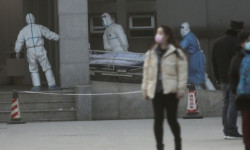 Вирустун курмандыктары өсүүдө 