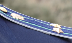 Кызматтык жазалар берилди