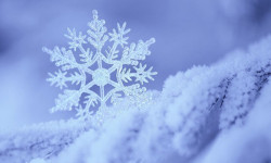 Февраль айы жылуу болот