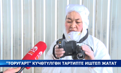 "Торугарт" көзөмөл өткөрүү жайы күчөтүлгөн тартипте иштеп жатат
