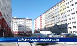 Кыргызстандагы бийик кабаттуу имараттардын сейсмикалык коопсуздугу кандай?