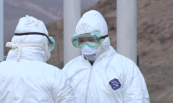 Баткенге Кытайдан келген 2 жаранда тең коронавирус аныкталган жок