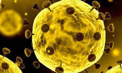 Кыргызстанда коронавируска кабылгандар катталган жок