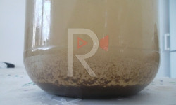 Ылай аралаш суу ичкен Байтик айылы