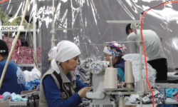 Өнөр жай жана ишкердикти өнүктүрүү