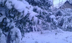 Шашылыш билдирүү: 11-12-февралда өлкө аймагында аба-ырайы кескин өзгөрүлөт 