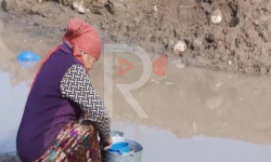 Малдан суу талашып ичкен Кашар конушунун тургундары