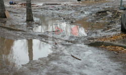 Бишкек: баткакка тыгылган көчө