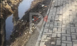 Тоголок Молдо көчөсүндөгү дренажга кошулган канализациянын суусу