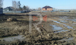 Балчыкка баткан Алтын-Бешик конушу