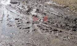 Алтын-Ордо: эзилген баткак жолдон качан кутулабыз?