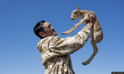 Корукчунун өлүмүнө айыпталгандарга өмүр бою эркинен ажыратуу жазасы суралды