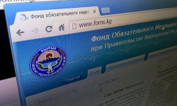 Медициналык жактан камсыздандырылган жарандардын саны кыскарды