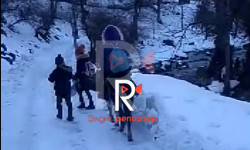 Мектепке эшек минип барган Турдук айылынын окуучулары