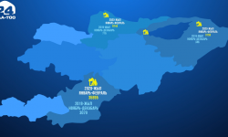 Калкты каттоо жана паспорттоштуруу бөлүмүнүн жетекчилери кызматтан четтетилди