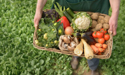 Кыргызстан органикалык өлкө катары дүйнөгө таанылуу алдында турат