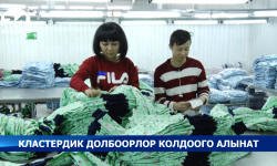 Кластердик долбоорлор колдоого алынат