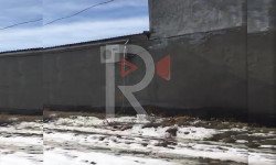 Байтур конушунун тургундары "ШампВин комбинатына" нааразы болушууда