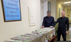 Ташкентте бак-дарактарды кыйган компания 200 миң доллар айып пулга жыгылды