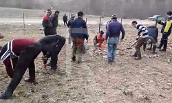 Сумсар: тургундар өз демилгелери менен айылын жашылдандырууда