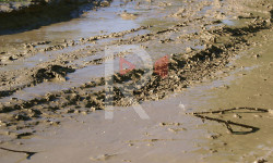 Майлуу-Суу: арыктарды ким тазалайт?