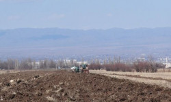 Жаздын бир күнү жылга тете