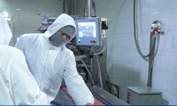 Экономиканы өргө тарткан экспорт