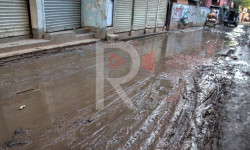 Соң-Көл жаңы конушунун чечилбей келген көйгөйлүү маселеси