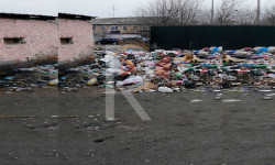 Араван: чачылган таштанды, сайга кошулган канализациянын саркынды суусу